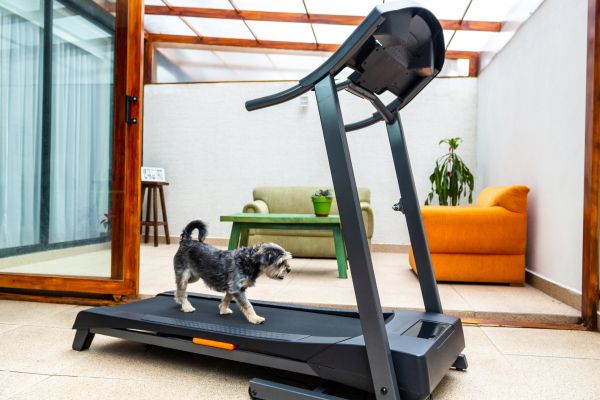 Treadmill Installation in Elyria