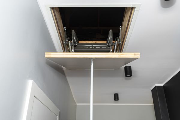 Attic Door Repair in Elyria