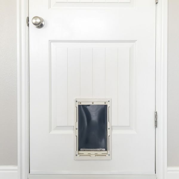 Pet Door Repair in Elyria